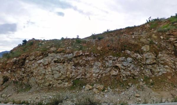 Terreno en C/avestruz, 116