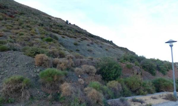 Terreno en Cl Avutarda