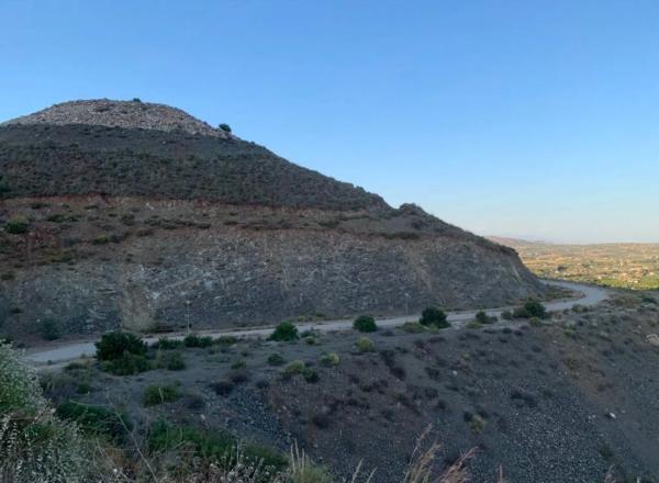 Terreno en calle Faisan, 84