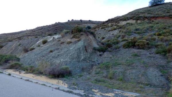 Terreno en Cl Avutarda