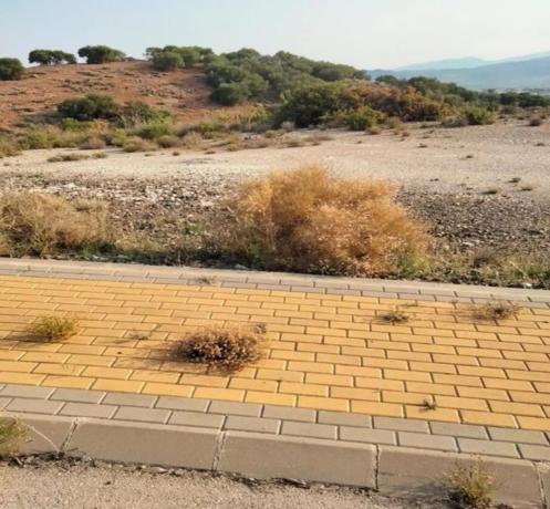 Terreno en calle Faisan, 84