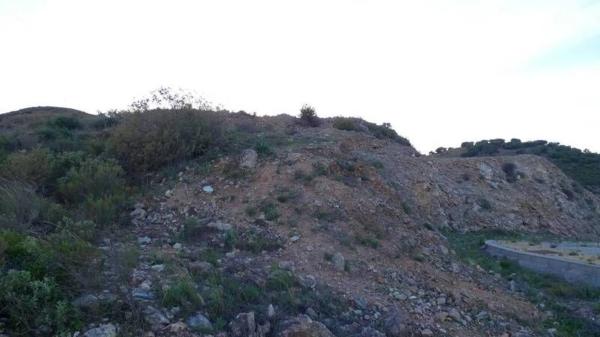 Terreno en C/avestruz, 116