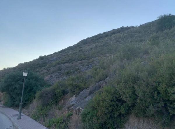 Terreno en calle Faisan, 84