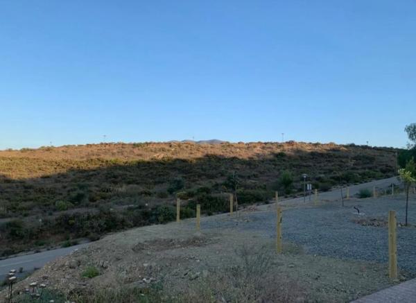 Terreno en calle Faisan, 84