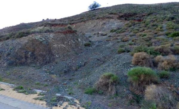 Terreno en C/avutarda