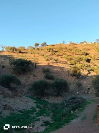 Terreno en Pozo Palomo s/n