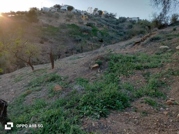 Terreno en Pozo Palomo s/n