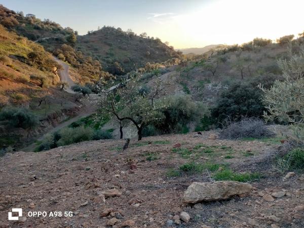 Terreno en Pozo Palomo s/n