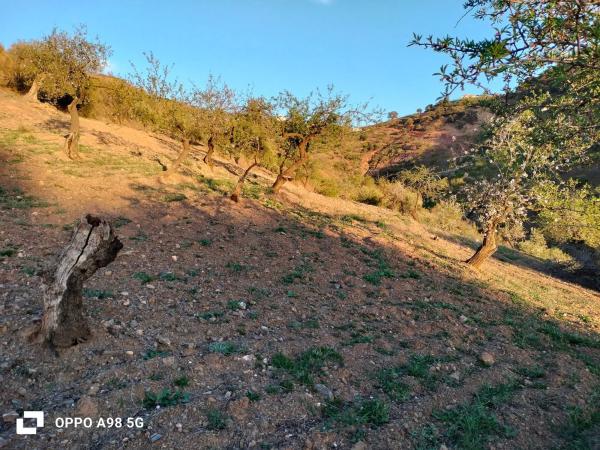 Terreno en Pozo Palomo s/n