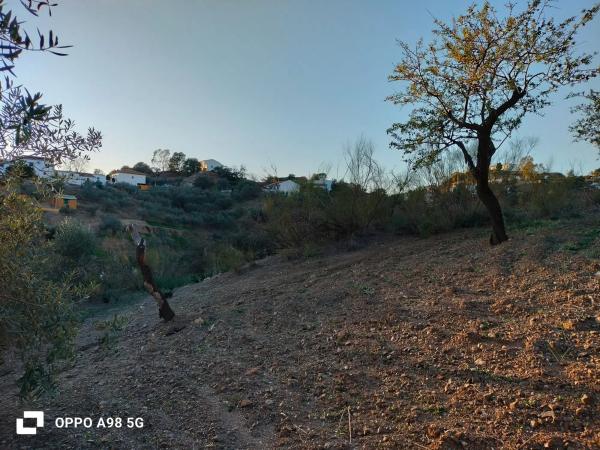 Terreno en Pozo Palomo s/n