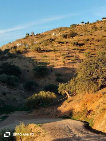 Terreno en Pozo Palomo s/n