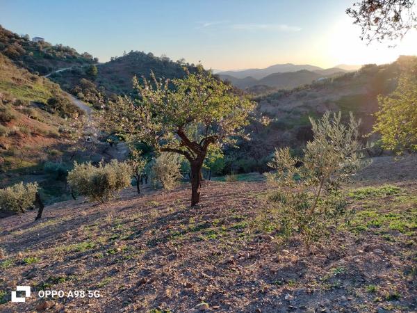 Terreno en Pozo Palomo s/n