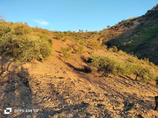 Terreno en Pozo Palomo s/n