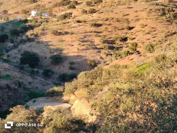 Terreno en Pozo Palomo s/n