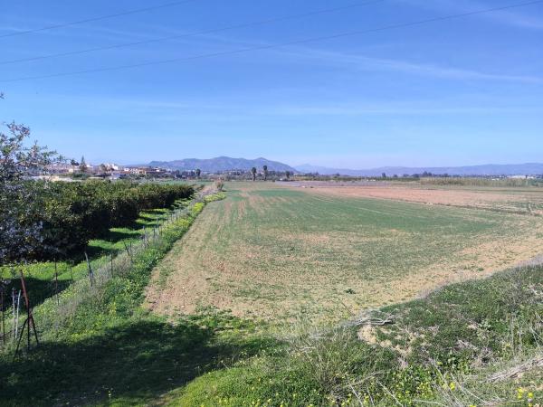 Terreno en calle Honda, 53