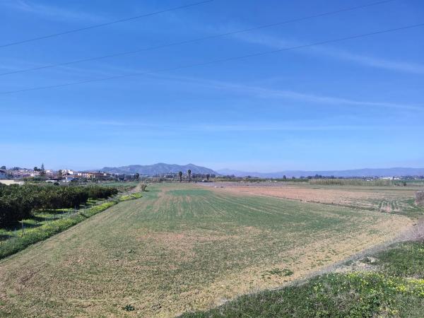 Terreno en calle Honda, 53