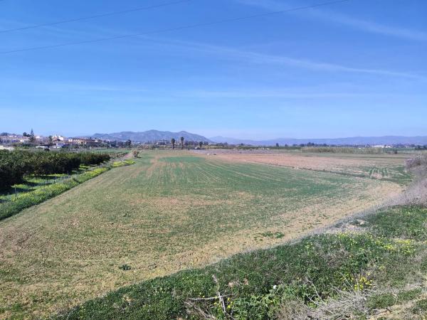 Terreno en calle Honda, 53