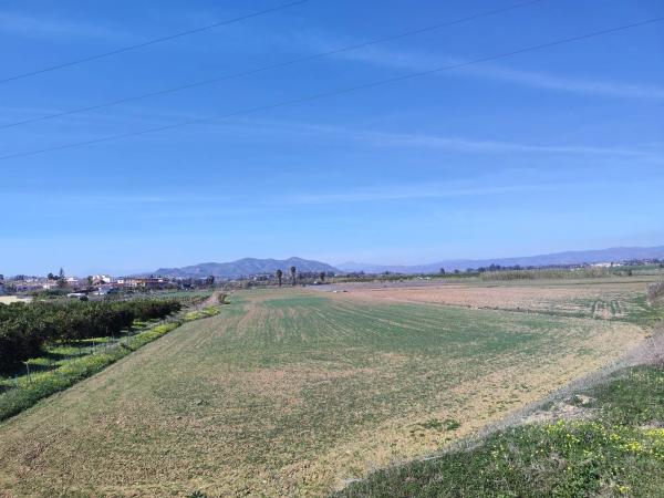 Terreno en calle Honda, 53