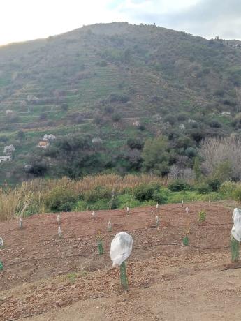 Terreno en Diseminado el Pago Rio, 818