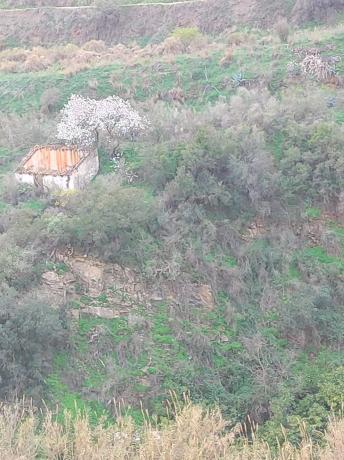 Terreno en Diseminado el Pago Rio, 818