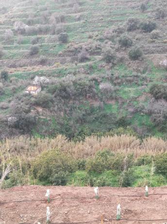 Terreno en Diseminado el Pago Rio, 818