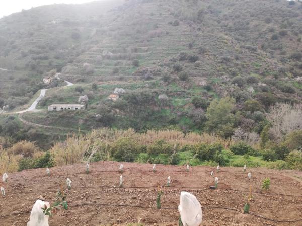 Terreno en Diseminado el Pago Rio, 818