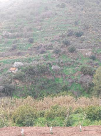 Terreno en Diseminado el Pago Rio, 818