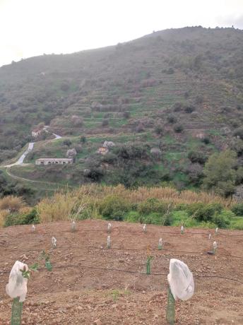 Terreno en Diseminado el Pago Rio, 818