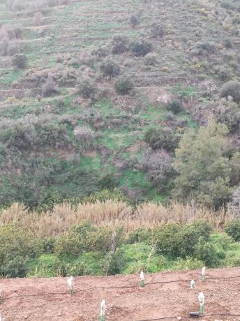 Terreno en Diseminado el Pago Rio, 818