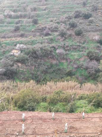 Terreno en Diseminado el Pago Rio, 818