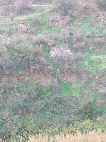 Terreno en Diseminado el Pago Rio, 818