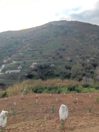 Terreno en Diseminado el Pago Rio, 818