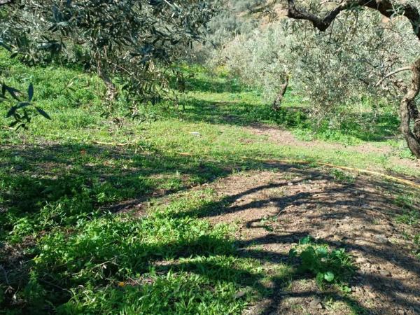 Terreno en Moclinejo