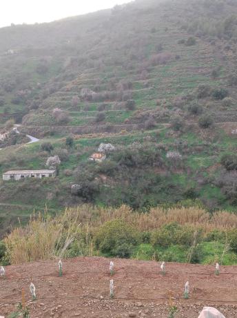 Terreno en Diseminado el Pago Rio, 818