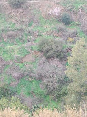 Terreno en Diseminado el Pago Rio, 818