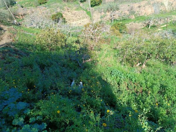 Terreno en Moclinejo