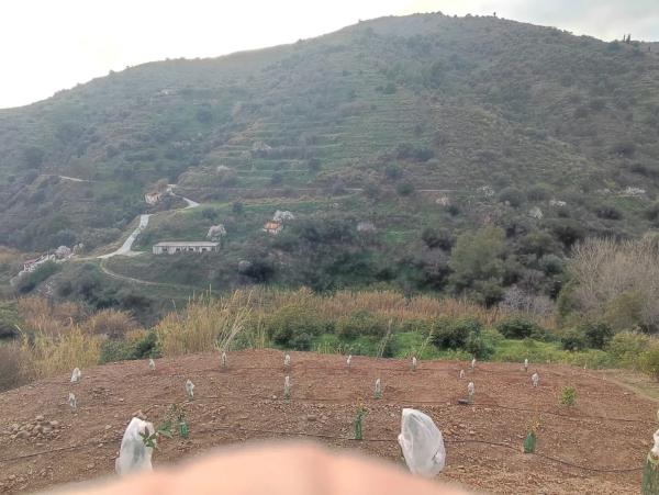 Terreno en Diseminado el Pago Rio, 818