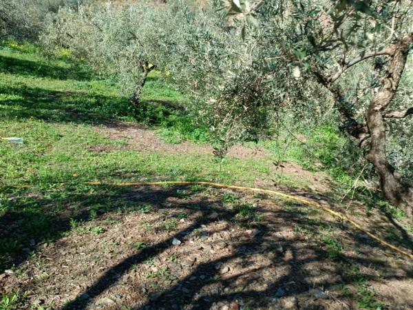 Terreno en Moclinejo