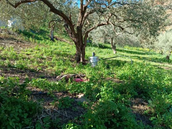 Terreno en Moclinejo