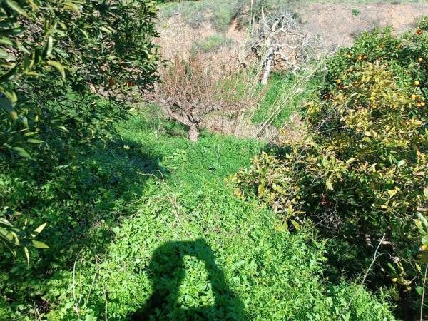 Terreno en Moclinejo