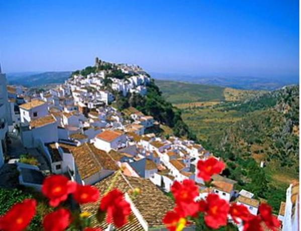 Terreno en calle Cerro Largo