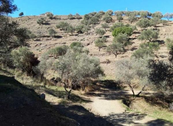 Terreno en Pago De Rioseco