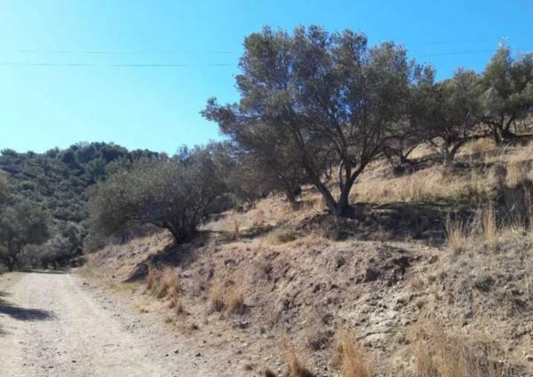 Terreno en Pago De Rioseco