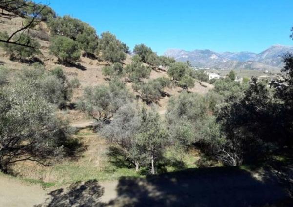 Terreno en Pago De Rioseco