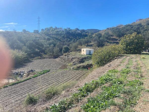 Terreno en Diseminado Cabrillas, 214