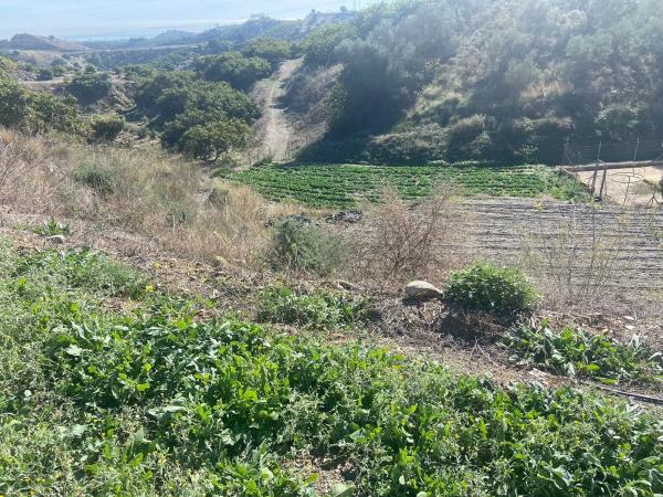 Terreno en Diseminado Cabrillas, 214