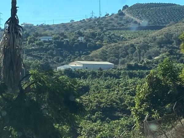 Terreno en Diseminado Cabrillas, 214