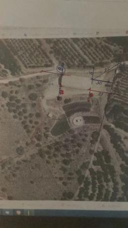 Terreno en Diseminado Cabrillas, 214