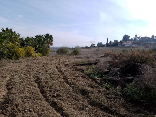 Terreno en carretera de la Dehesa Alta s/n