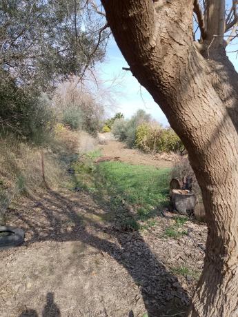 Terreno en carretera de la Dehesa Alta s/n